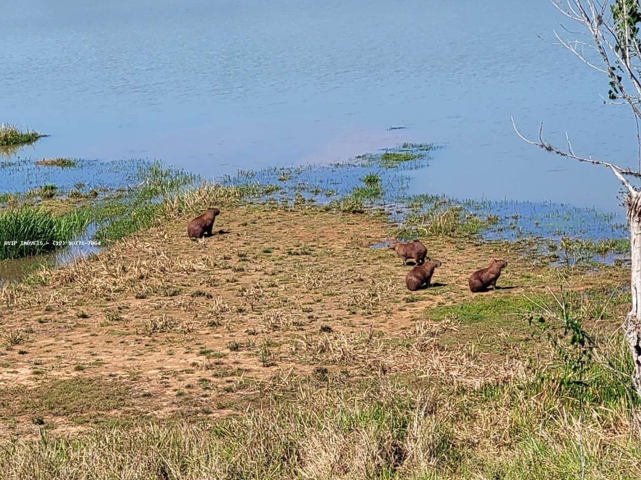 Terreno, 304 m² - Foto 5