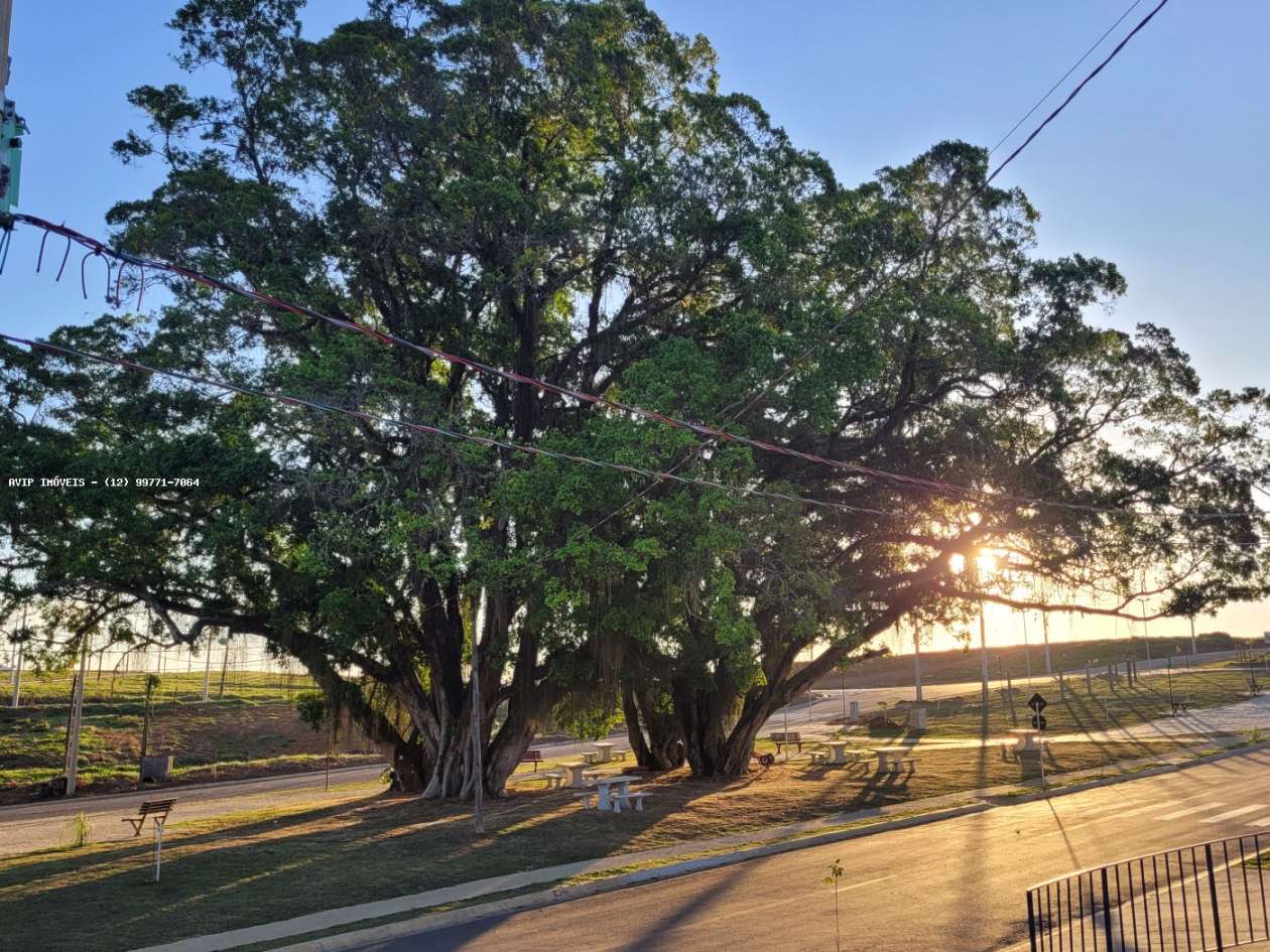 Terreno, 304 m² - Foto 23